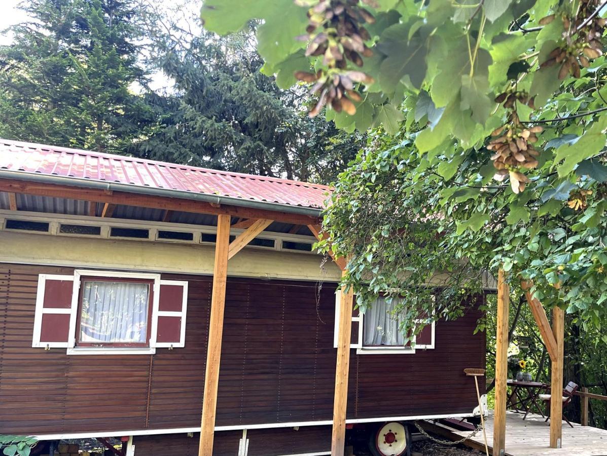 Historischer Zirkuswagen Mit Terrasse Und Blick Ins Gruene Witzenhausen Esterno foto